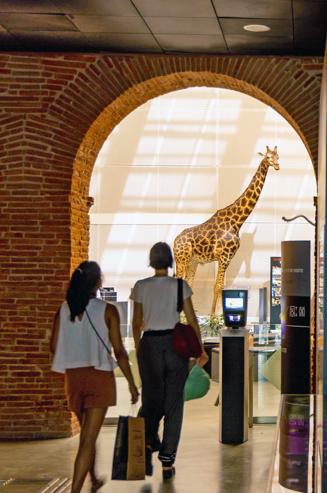 Photo du muséum de Toulouse