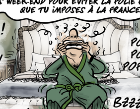 Le regard de Faro du 18 novembre 2025