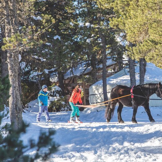 Traîneau à cheval sur neige 