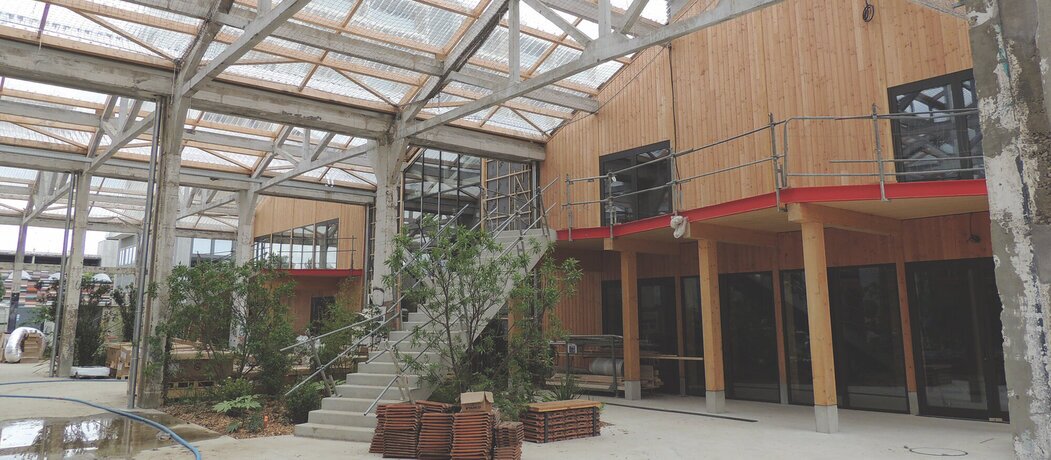 Photo de la trouée verte au cœur du bâtiment
