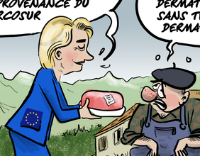 Le regard de Faro du 15 décembre 2025