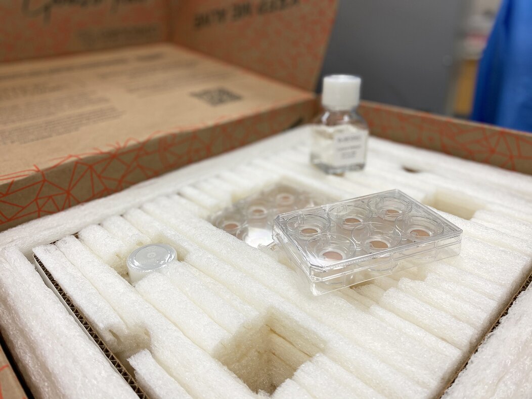 Photo des kits contenant des biopsies de peau humaine