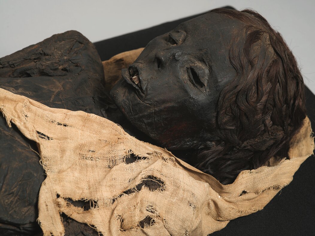 Exposition « Momies, corps préservés, corps éternels » au Muséum de Toulouse